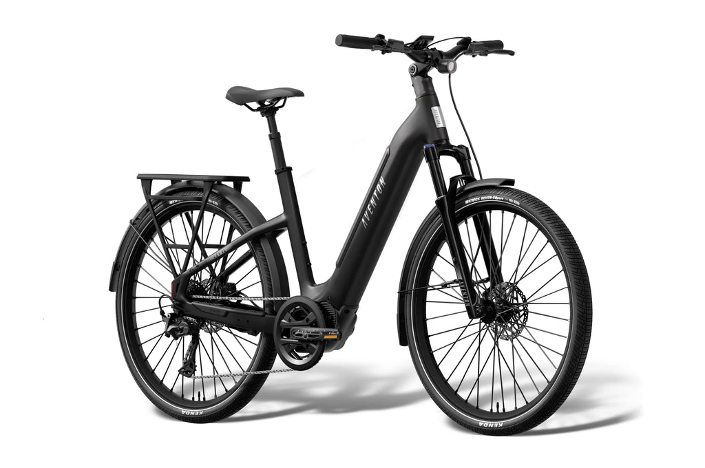 Level 4 ADV Step-Through Ebike