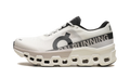 Cloudmonster 2 WMNS "Undyed/Frost" 3WE10112035