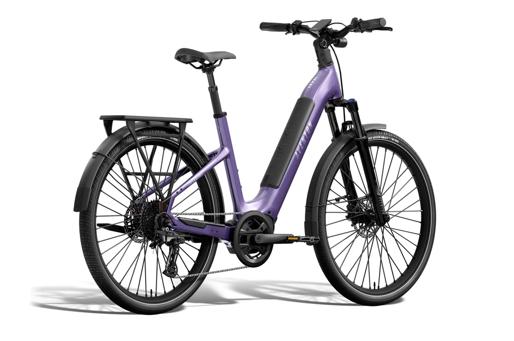 Level 4 ADV Step-Through Ebike