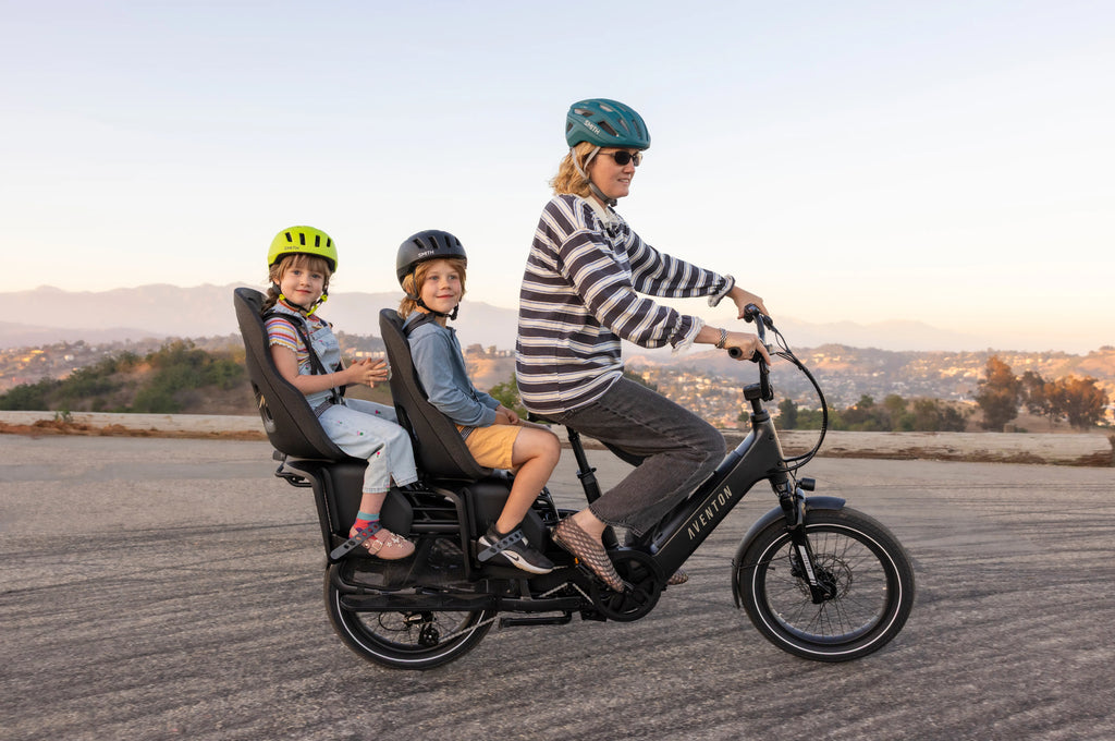 Abound LR Ebike