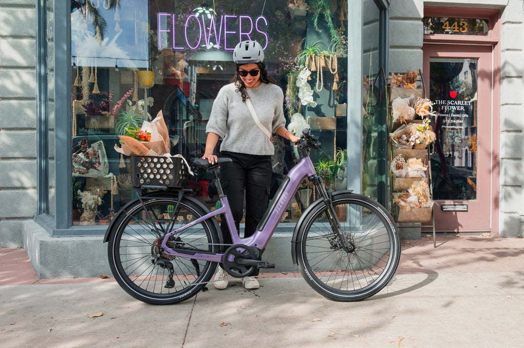 Level 4 ADV Step-Through Ebike