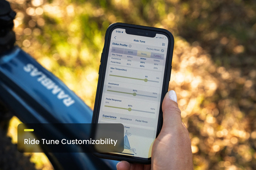 Ramblas ADV Ebike