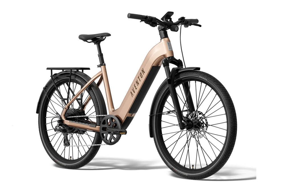 Level 4 REC Step-Through Ebike