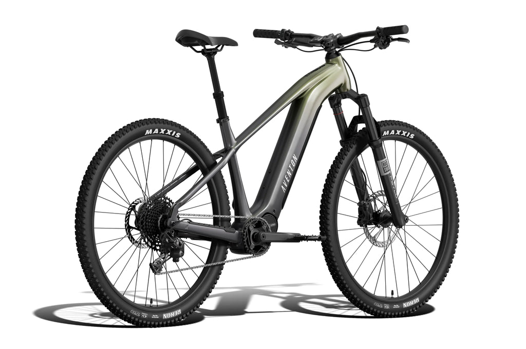 Ramblas ADV Ebike