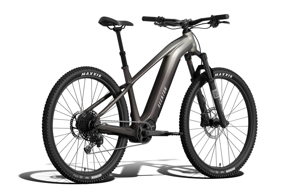 Ramblas ADV Ebike