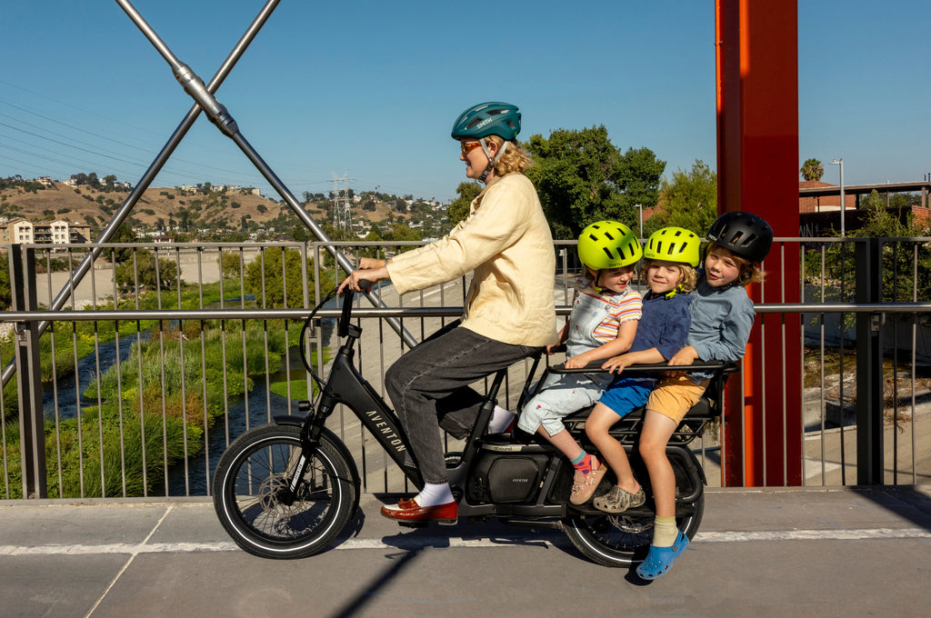Abound LR Ebike