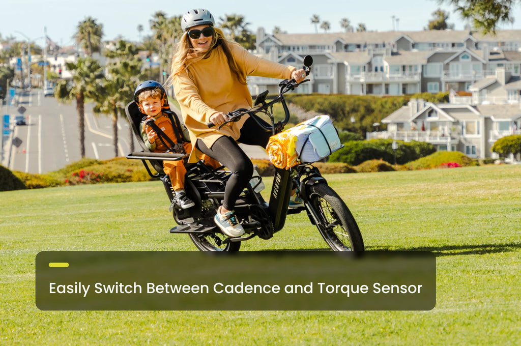 Abound LR Ebike